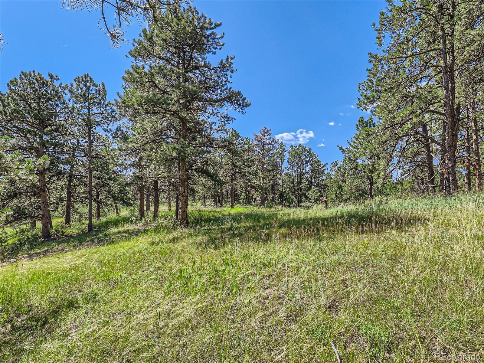 2117 Wieler Road Evergreen, CO 80439 - Photo 25 of 40 Gallery Image 25