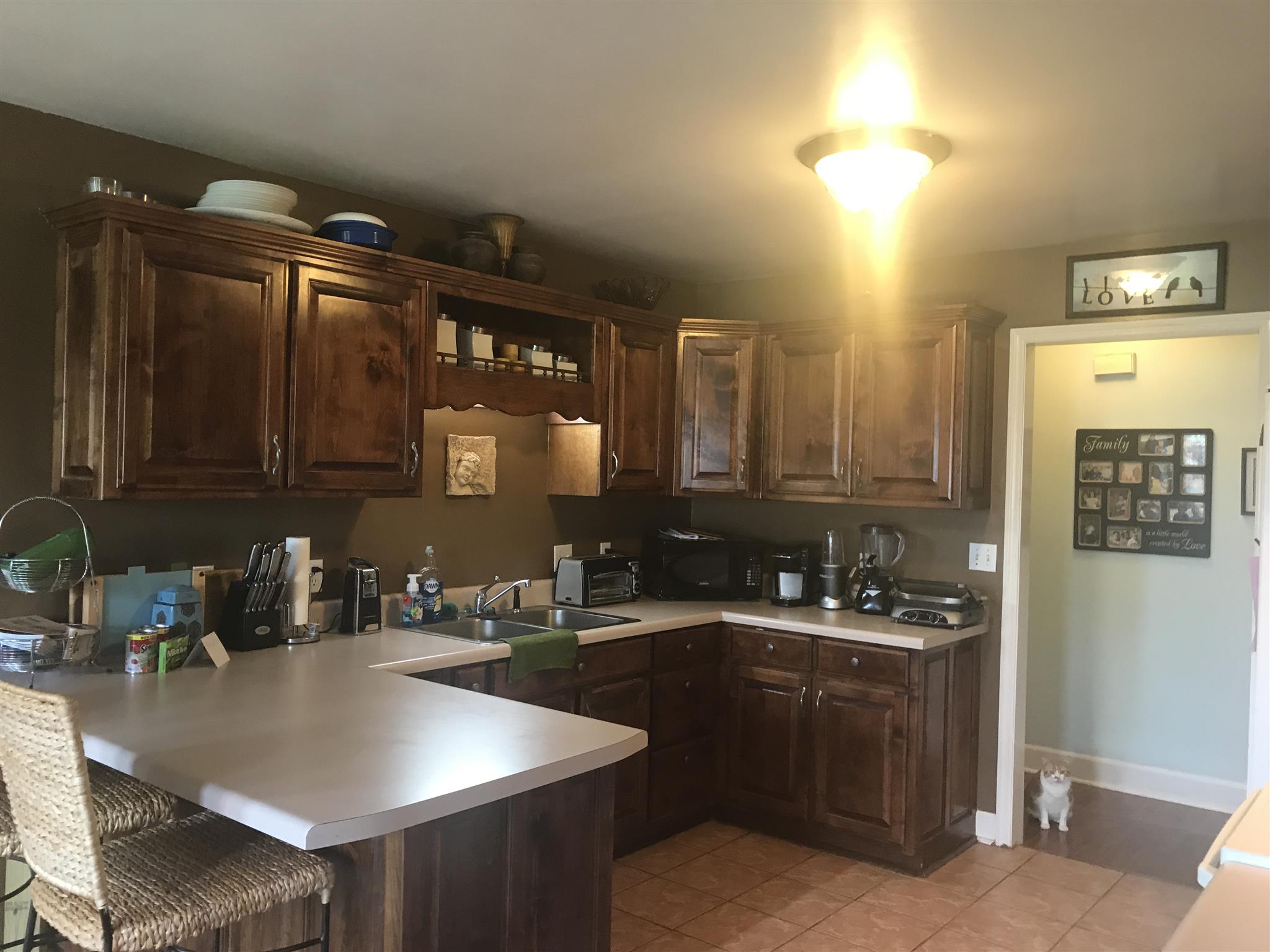 501 Rock Road Morrison, TN 37357 - Photo 7 of 22 a kitchen with a sink refrigerator and cabinets