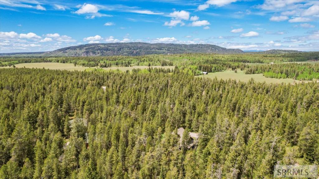 1536 Shadow Run Ashton, ID 83420 - Photo 8 of 65