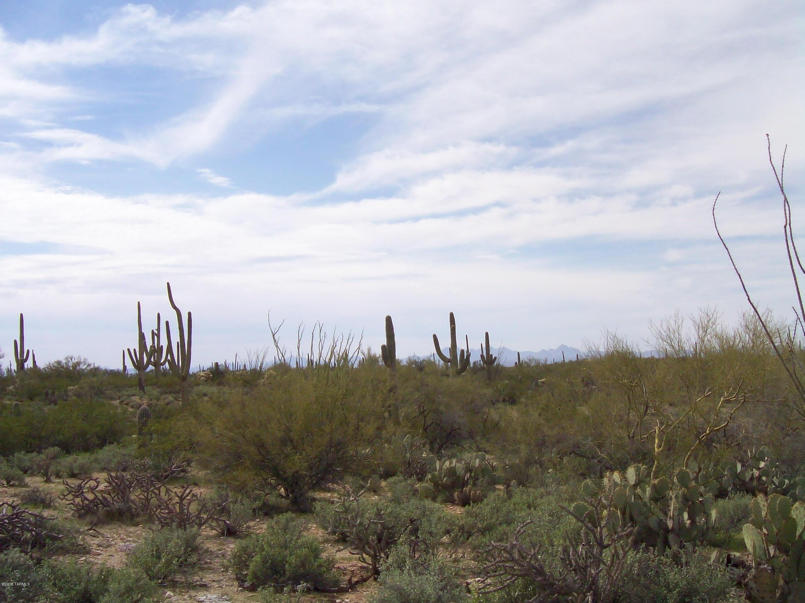 0 Derrio Road Marana, AZ 85658 - Photo 5 of 14