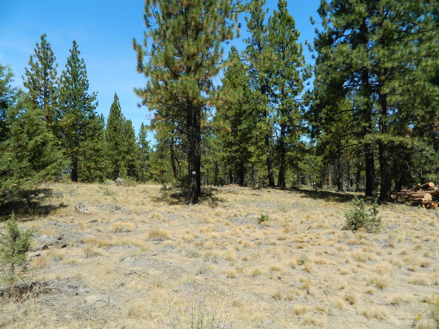 19530 Buck Canyon Road Bend, OR 97702 - Photo 2 of 20 Additional Photo