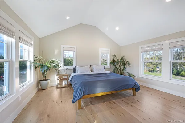 a living room with a bed and a potted plant