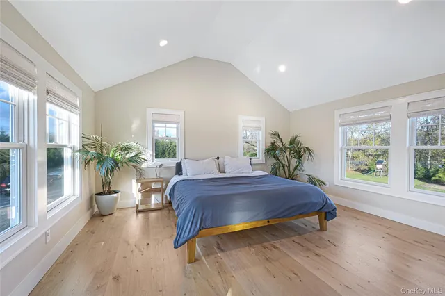 a living room with a bed and a potted plant
