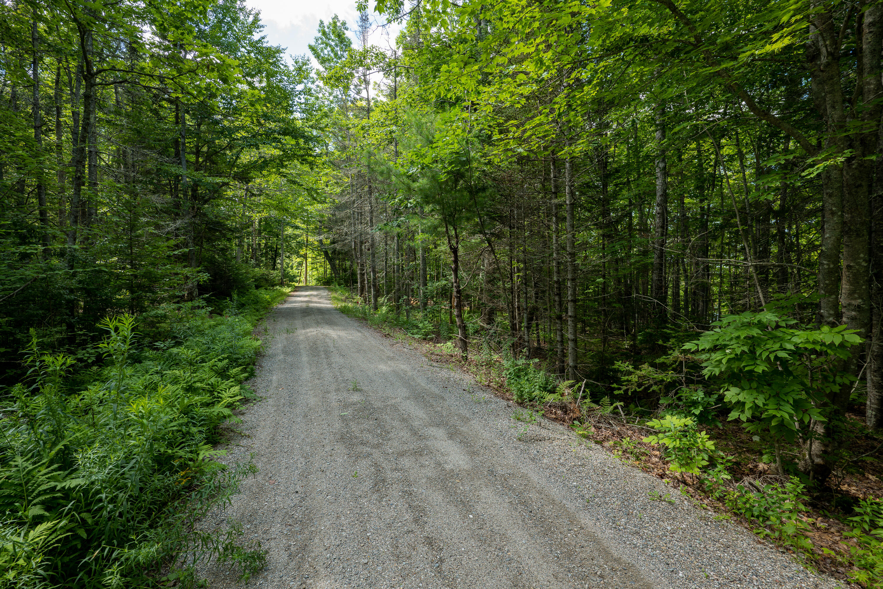 0 John Nute Road Penobscot, ME 04476 - Photo 10 of 32 John Nute Road HiRes-30