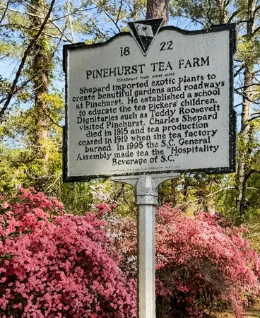 $1,250,000 | 113 Tea Farm Road, Summerville, SC 29483