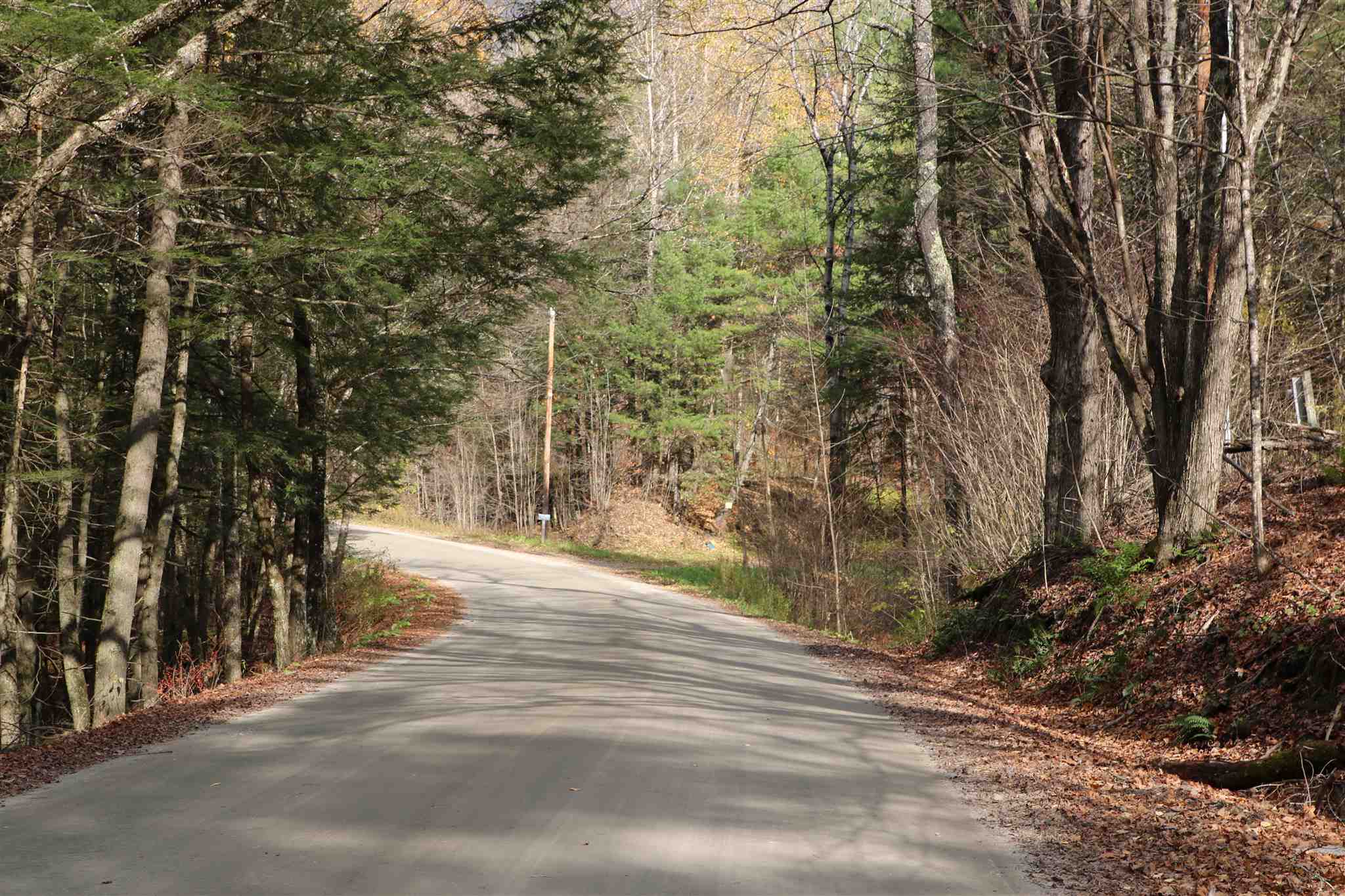 780 Max Gray Road Calais, VT 05667 - Photo 3 of 10