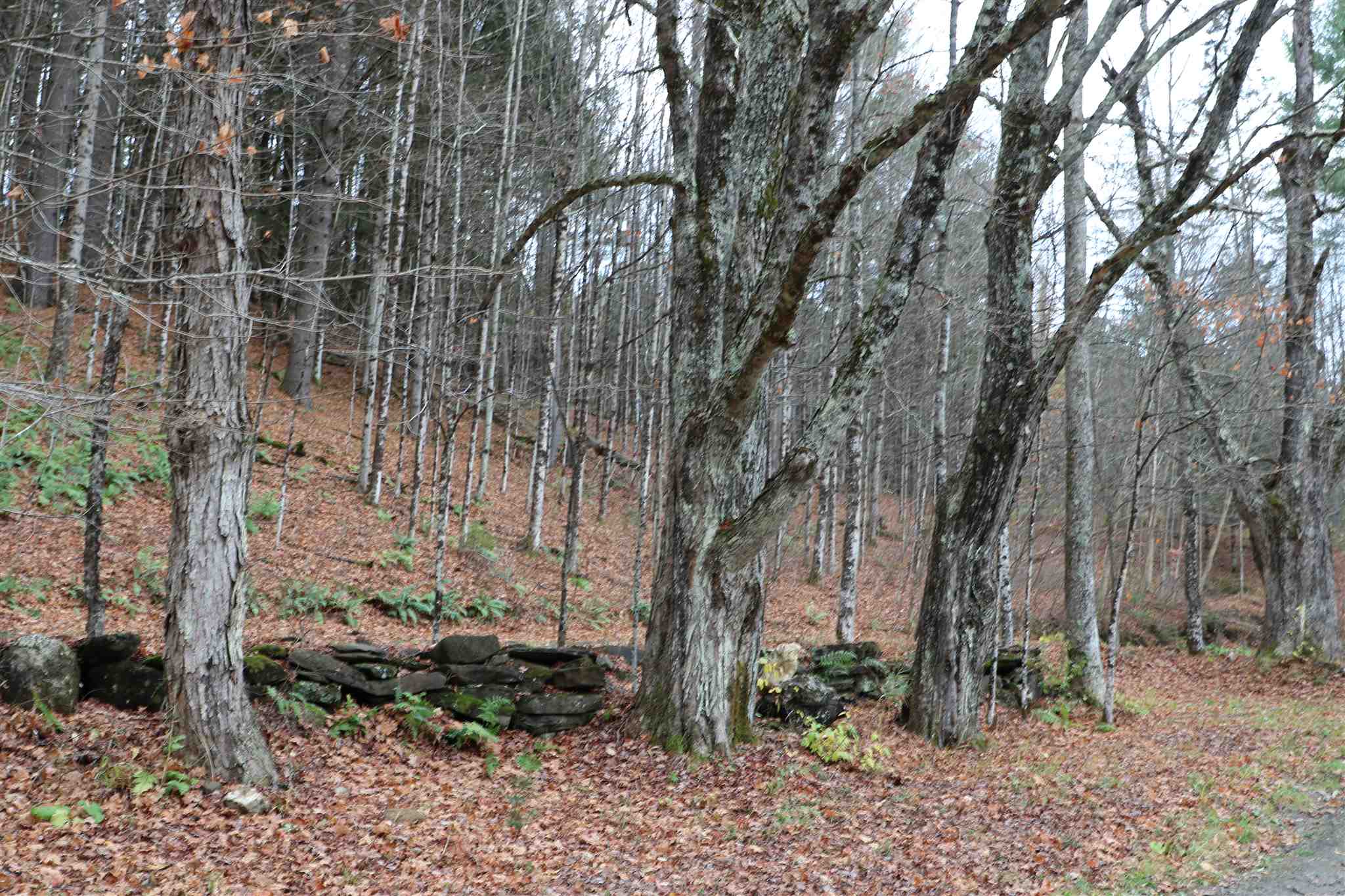 780 Max Gray Road Calais, VT 05667 - Photo 4 of 10