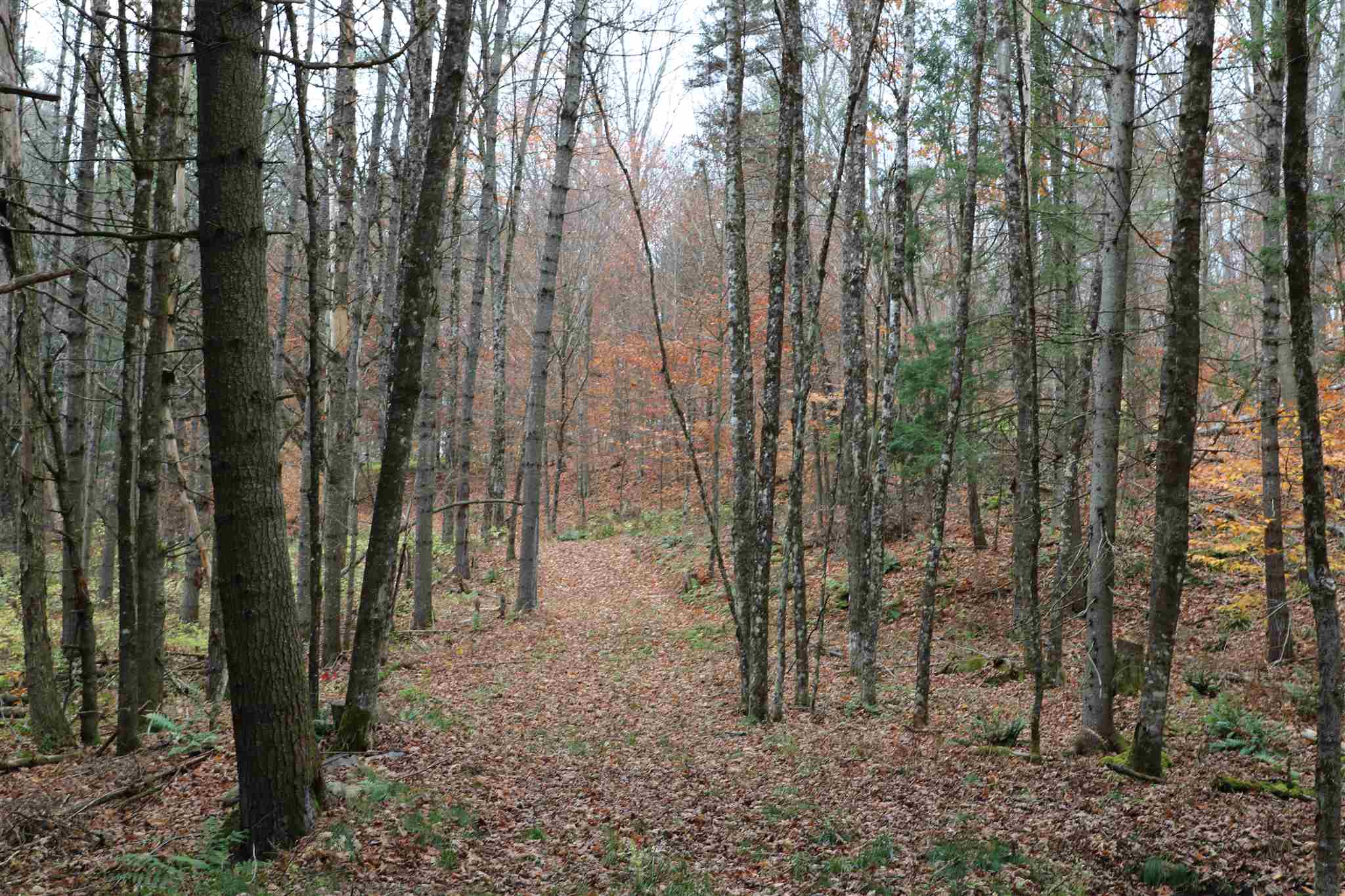 780 Max Gray Road Calais, VT 05667 - Photo 5 of 10