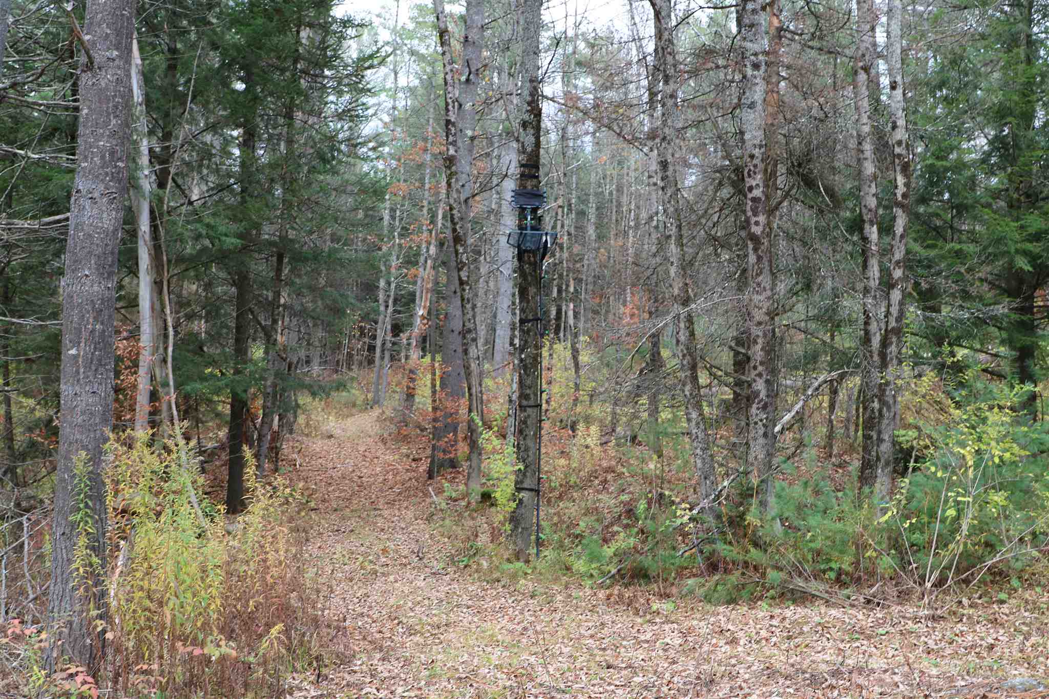 780 Max Gray Road Calais, VT 05667 - Photo 8 of 10
