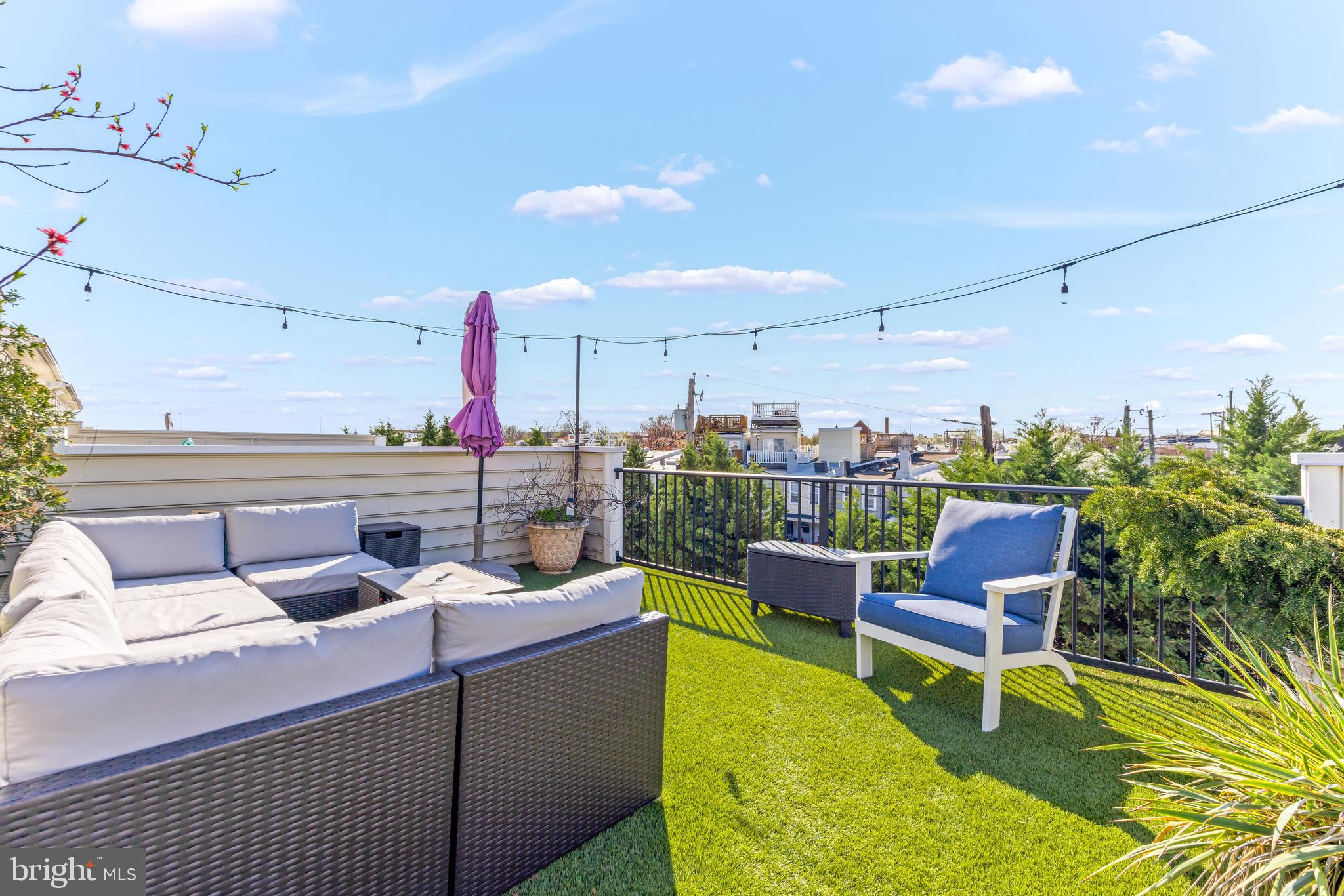1502 Stack Street Baltimore, MD 21230 - Photo 30 of 46 Rooftop deck