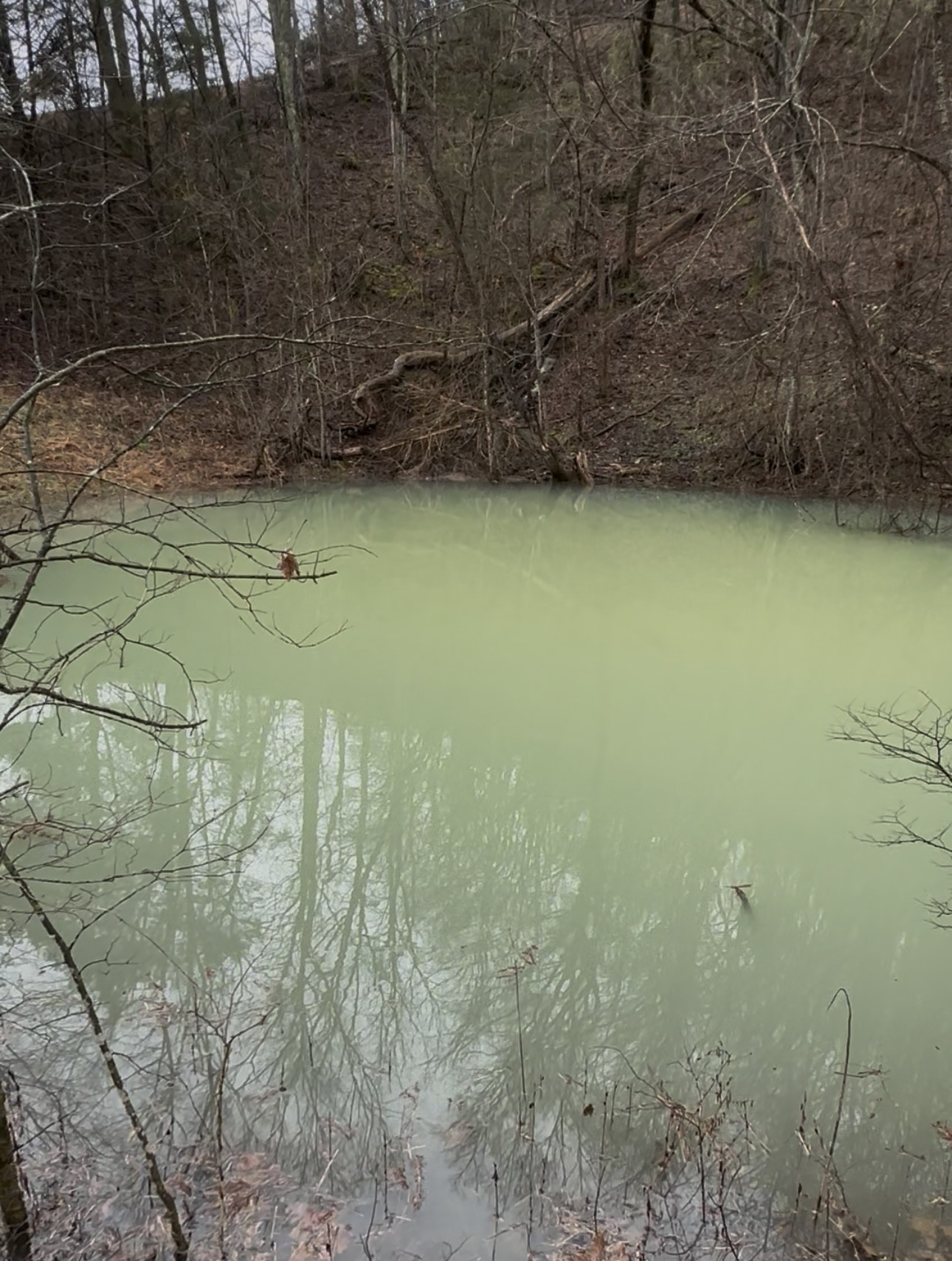 317 Little Creek Road Pleasant Shade, TN 37145 - Photo 87 of 88