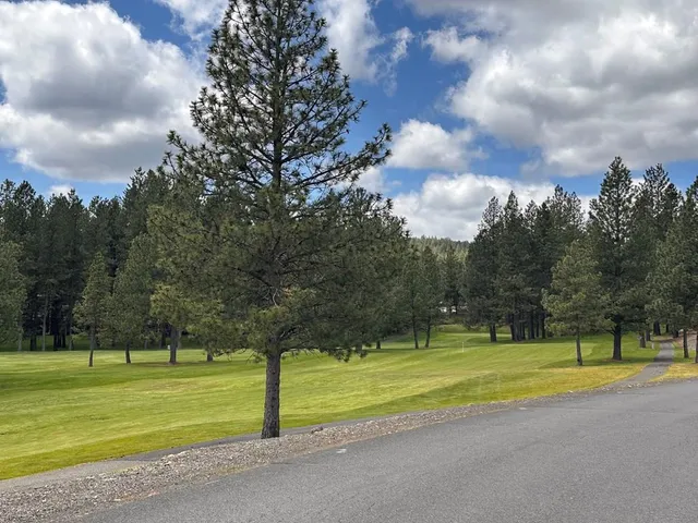 $95,000 | Tbd Sorrel Drive, Unit 21, New Meadows, ID 83654