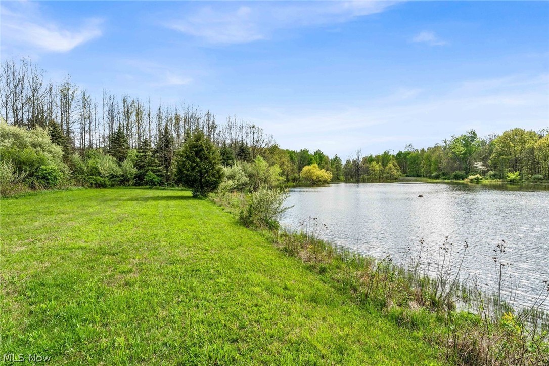 24242 Quarry Road Wellington, OH 44090 - Photo 11 of 39 Early Spring