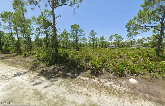 a view of a garden with plants