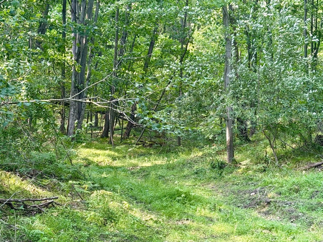 Tbd Tbd River Road Weidman, MI 48893 - Photo 6 of 9 1948526-eeae1f81-f5c1-4b13-8d87-cf66eecf821b.JPG