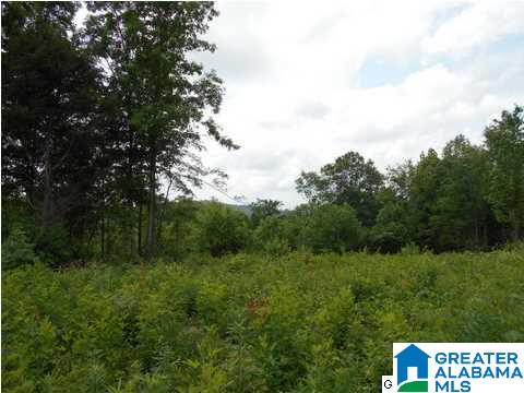 Virginia Street Oneonta, AL 35121 - Photo 3 of 3