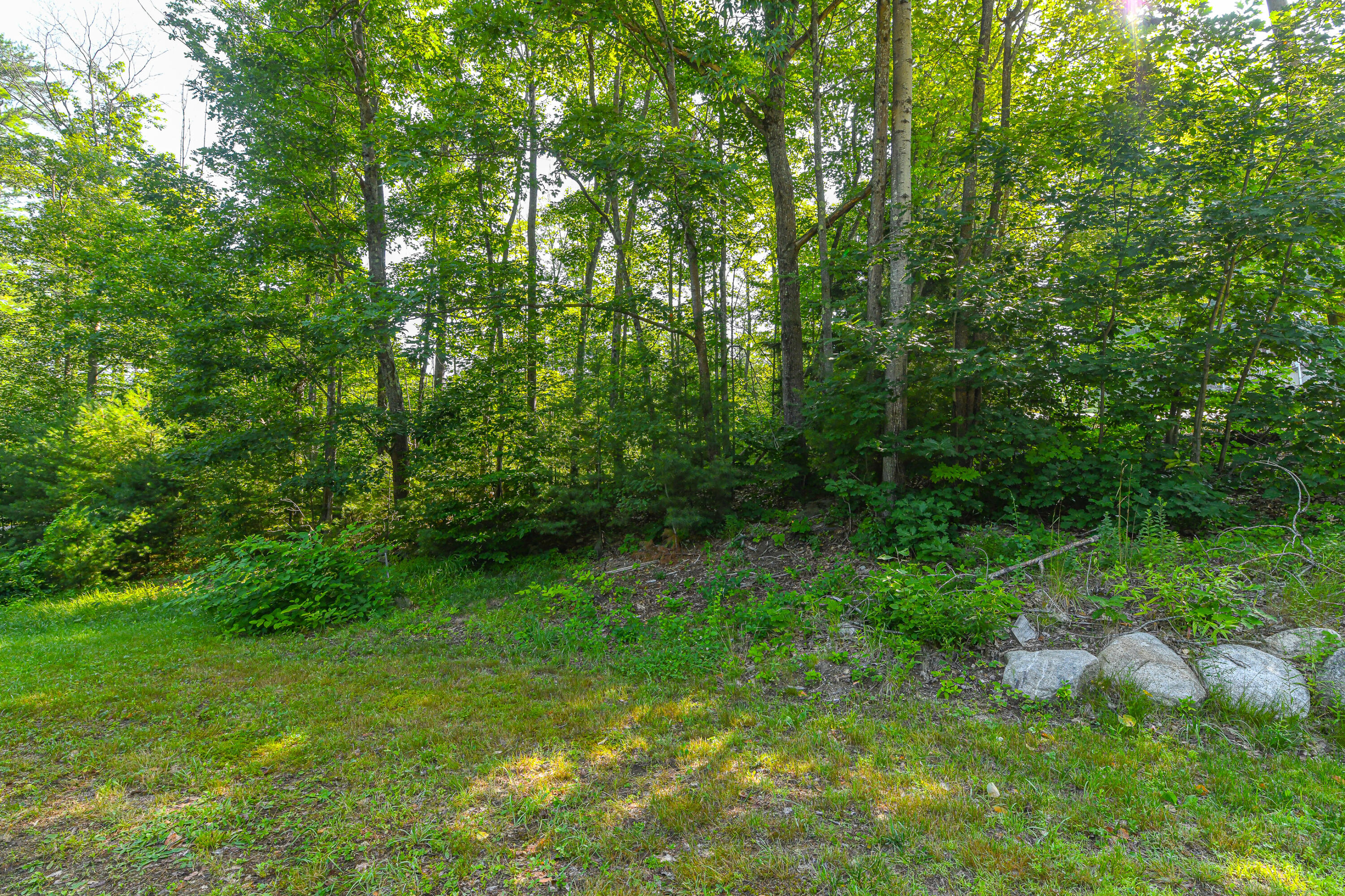 16 Dawes Hill Road Harrison, ME 04040 - Photo 5 of 34 16 dawes hill road-41