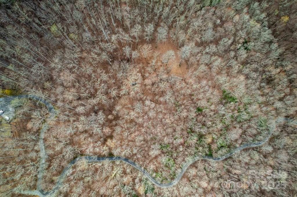 Lot 11 Stone Pillow Road, Unit 11 Tuckasegee, NC 28783 - Photo 11 of 26