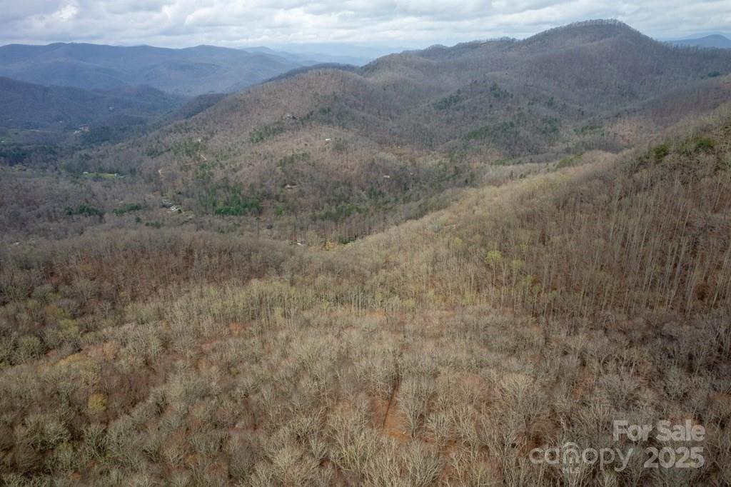 Lot 11 Stone Pillow Road, Unit 11 Tuckasegee, NC 28783 - Photo 13 of 26