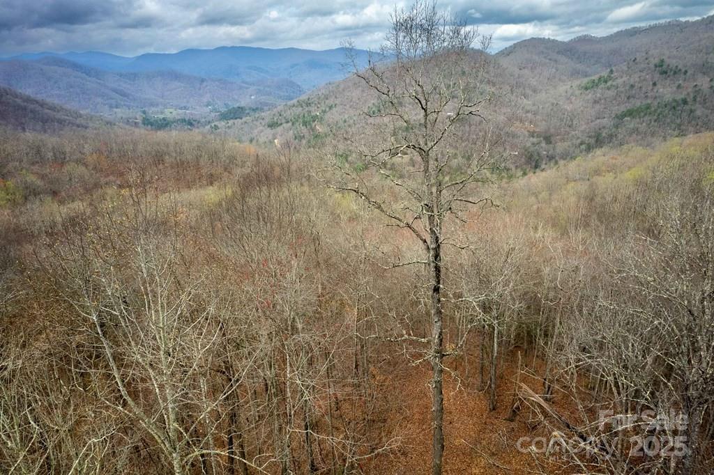 Lot 11 Stone Pillow Road, Unit 11 Tuckasegee, NC 28783 - Photo 14 of 26