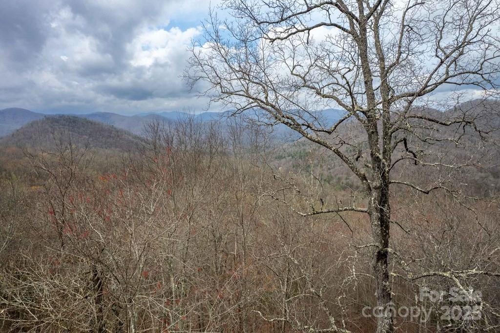 Lot 11 Stone Pillow Road, Unit 11 Tuckasegee, NC 28783 - Photo 15 of 26