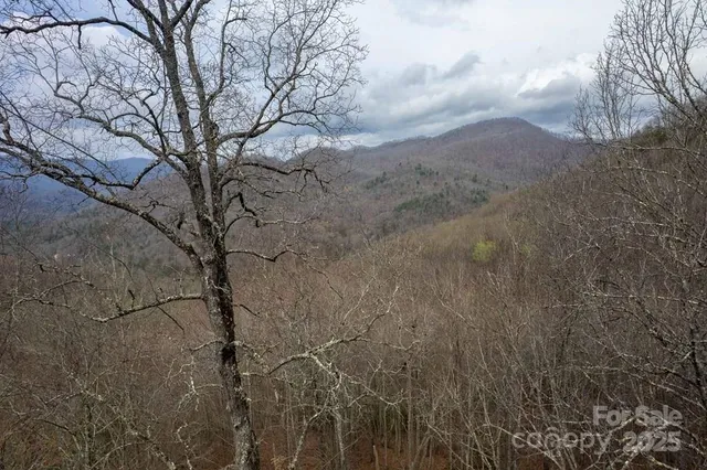 $119,600 | Lot 11 Stone Pillow Road, Unit 11, Tuckasegee, NC 28783