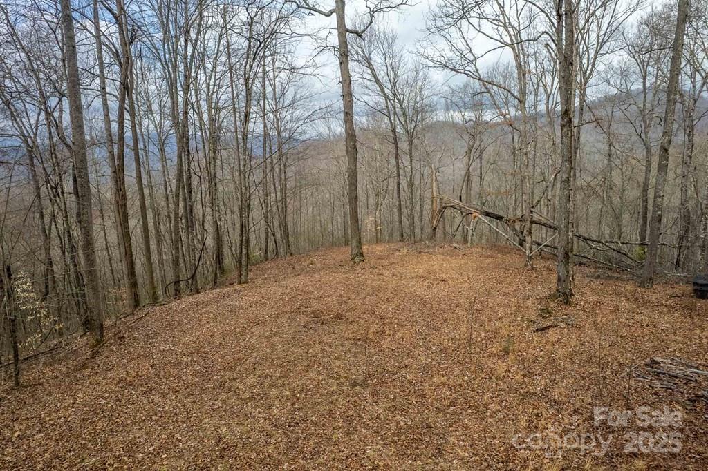 Lot 11 Stone Pillow Road, Unit 11 Tuckasegee, NC 28783 - Photo 2 of 26