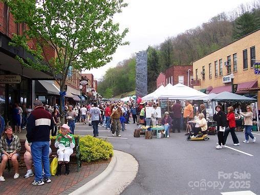 Lot 11 Stone Pillow Road, Unit 11 Tuckasegee, NC 28783 - Photo 24 of 26