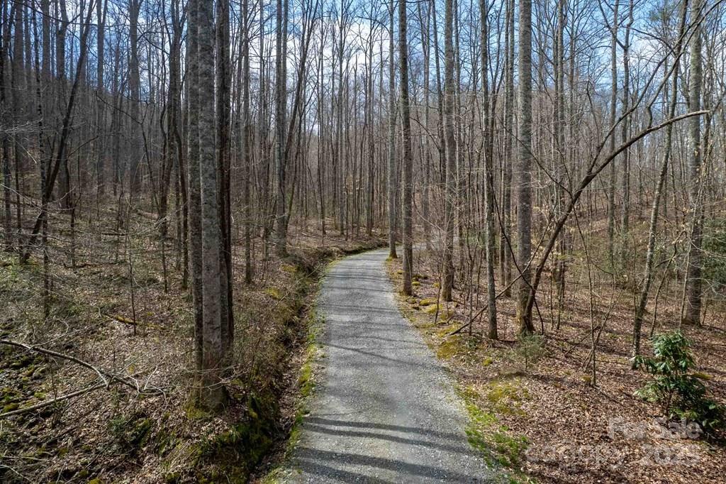 Lot 11 Stone Pillow Road, Unit 11 Tuckasegee, NC 28783 - Photo 3 of 26