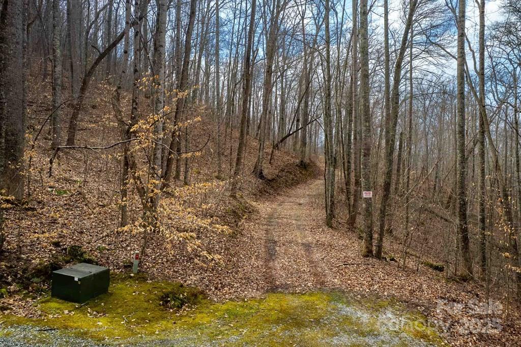 Lot 11 Stone Pillow Road, Unit 11 Tuckasegee, NC 28783 - Photo 4 of 26