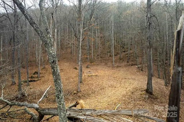 $119,600 | Lot 11 Stone Pillow Road, Unit 11, Tuckasegee, NC 28783