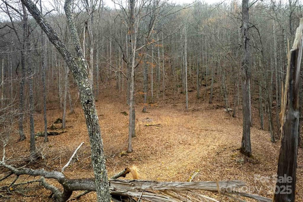 Lot 11 Stone Pillow Road, Unit 11 Tuckasegee, NC 28783 - Photo 5 of 26