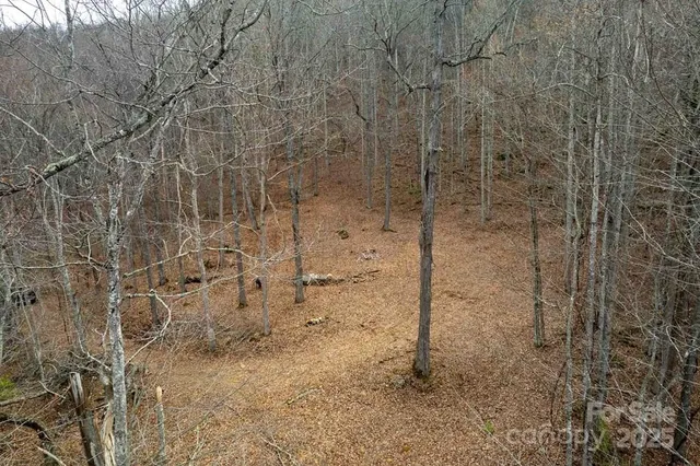 $119,600 | Lot 11 Stone Pillow Road, Unit 11, Tuckasegee, NC 28783