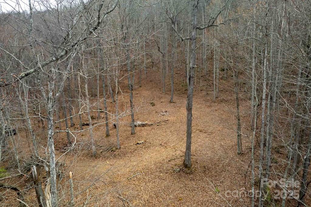 Lot 11 Stone Pillow Road, Unit 11 Tuckasegee, NC 28783 - Photo 6 of 26