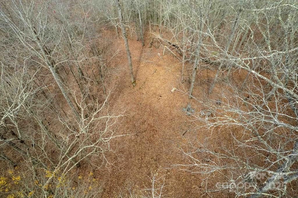 Lot 11 Stone Pillow Road, Unit 11 Tuckasegee, NC 28783 - Photo 7 of 26