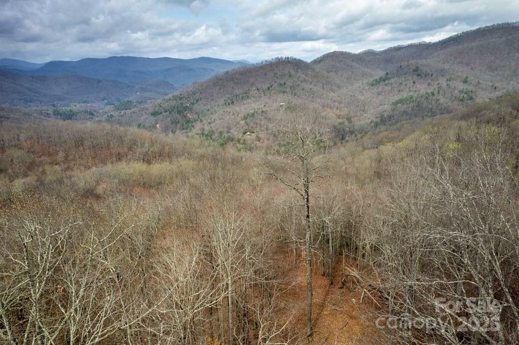 Lot 11 Stone Pillow Road, Unit 11 Tuckasegee, NC 28783 - Photo 8 of 26
