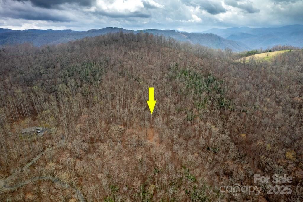 Lot 11 Stone Pillow Road, Unit 11 Tuckasegee, NC 28783 - Photo 9 of 26