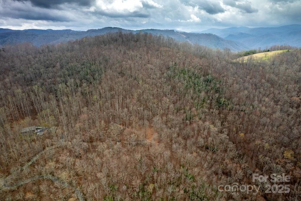 Lot 11 Stone Pillow Road, Unit 11 Tuckasegee, NC 28783 - Photo 10 of 26