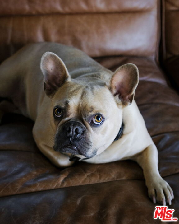 12416 Aneta Street Los Angeles, CA 90066 - Photo 21 of 22