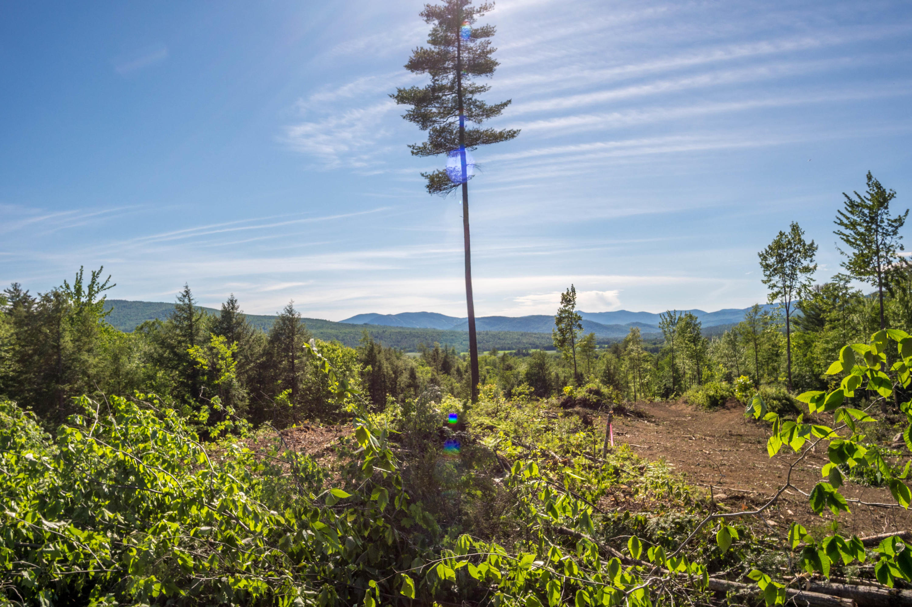 17-19 Katie View Road Bethel, ME 04217 - Photo 2 of 10 Katies View lots-2