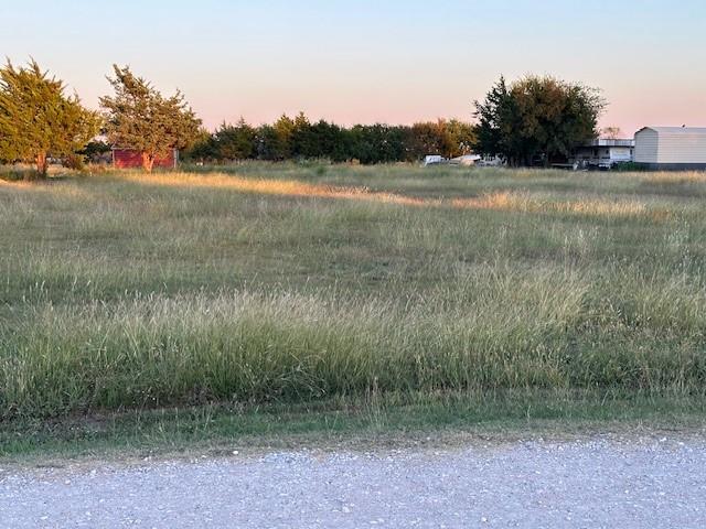 Tba Live Oak Road Princeton, TX 75407 - Photo 5 of 15 a view of a lake with a yard and large trees