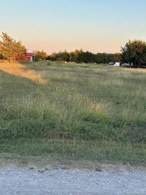 Tba Live Oak Road Princeton, TX 75407 - Photo 7 of 15 a view of a lake from a yard