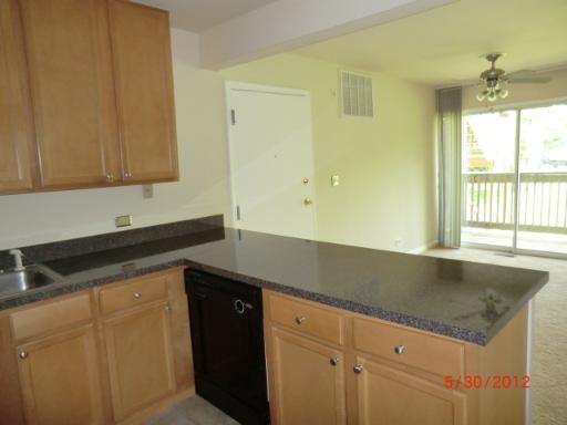 5880 Forest View Road, Unit B Lisle, IL 60532 - Photo 5 of 15 a kitchen with granite countertop cabinets sink and window