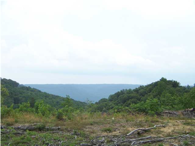 38 Jackson Point Road, Unit 38B Sewanee, TN 37380 - Photo 1 of 9 Primary Photo