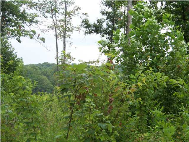 38 Jackson Point Road, Unit 38B Sewanee, TN 37380 - Photo 6 of 9 Additional Photo