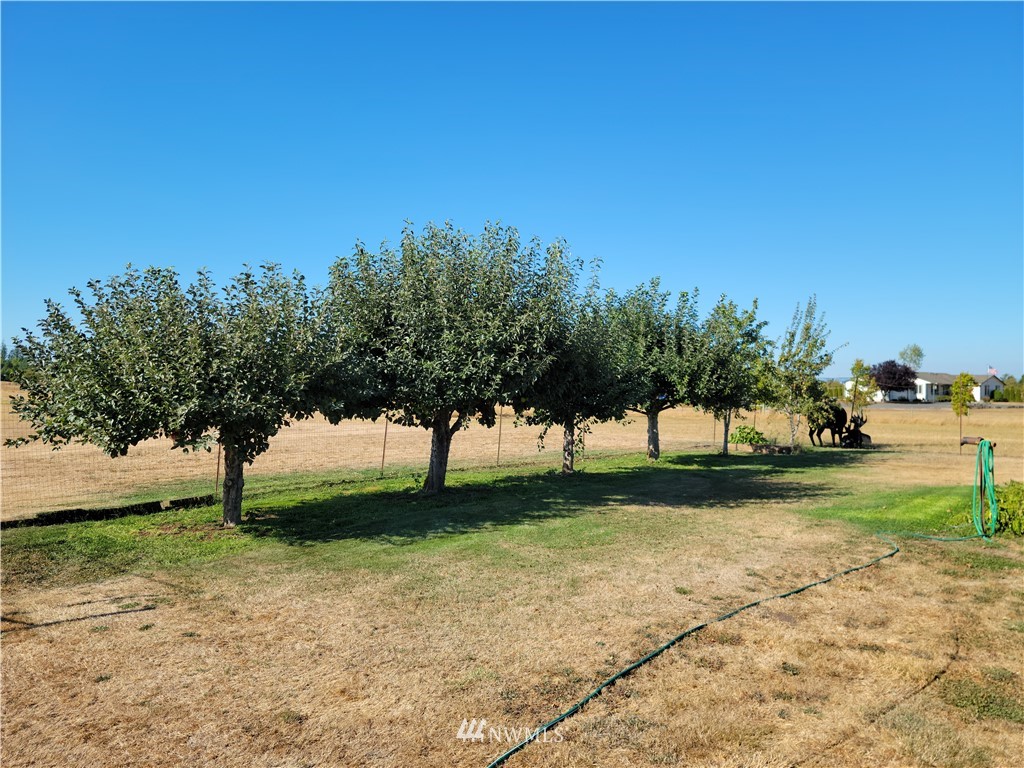 229 Plomondon Road Toledo, WA 98591 - Photo 23 of 25 Gallery Image 23
