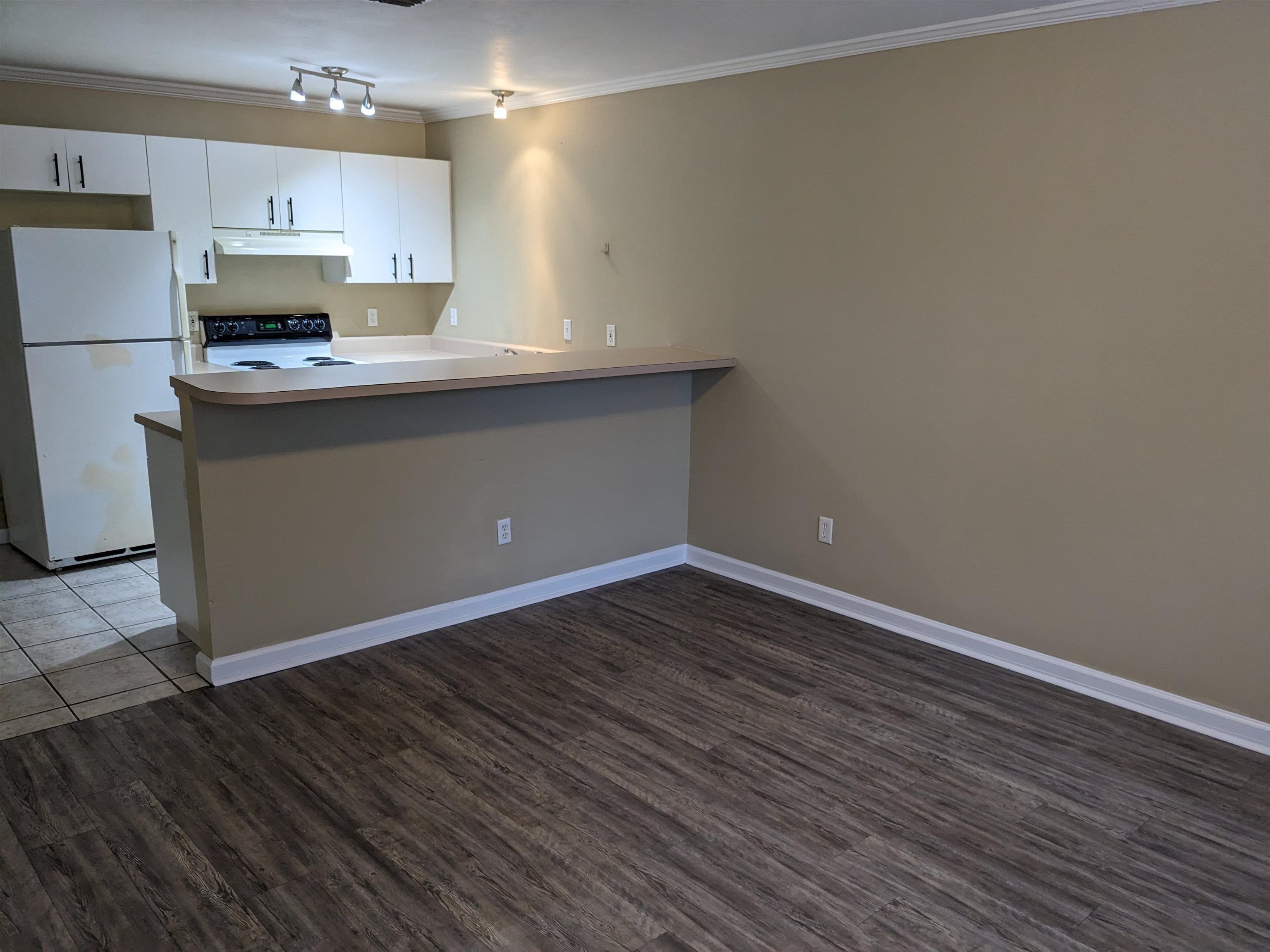 729 Wailes Street Tallahassee, FL 32310 - Photo 12 of 14