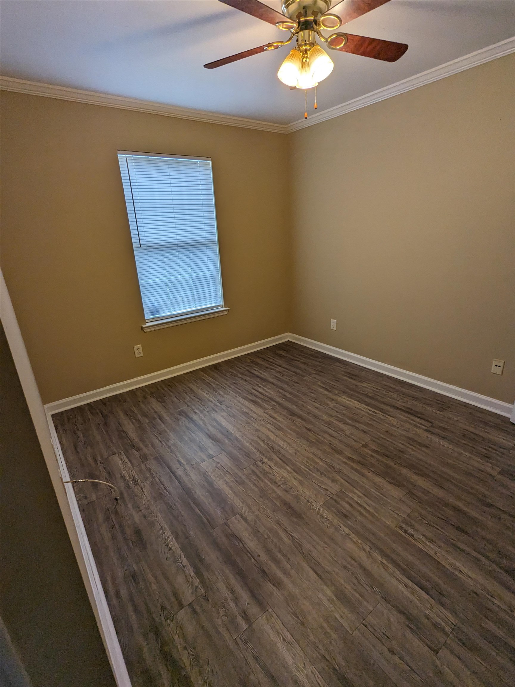 729 Wailes Street Tallahassee, FL 32310 - Photo 8 of 14