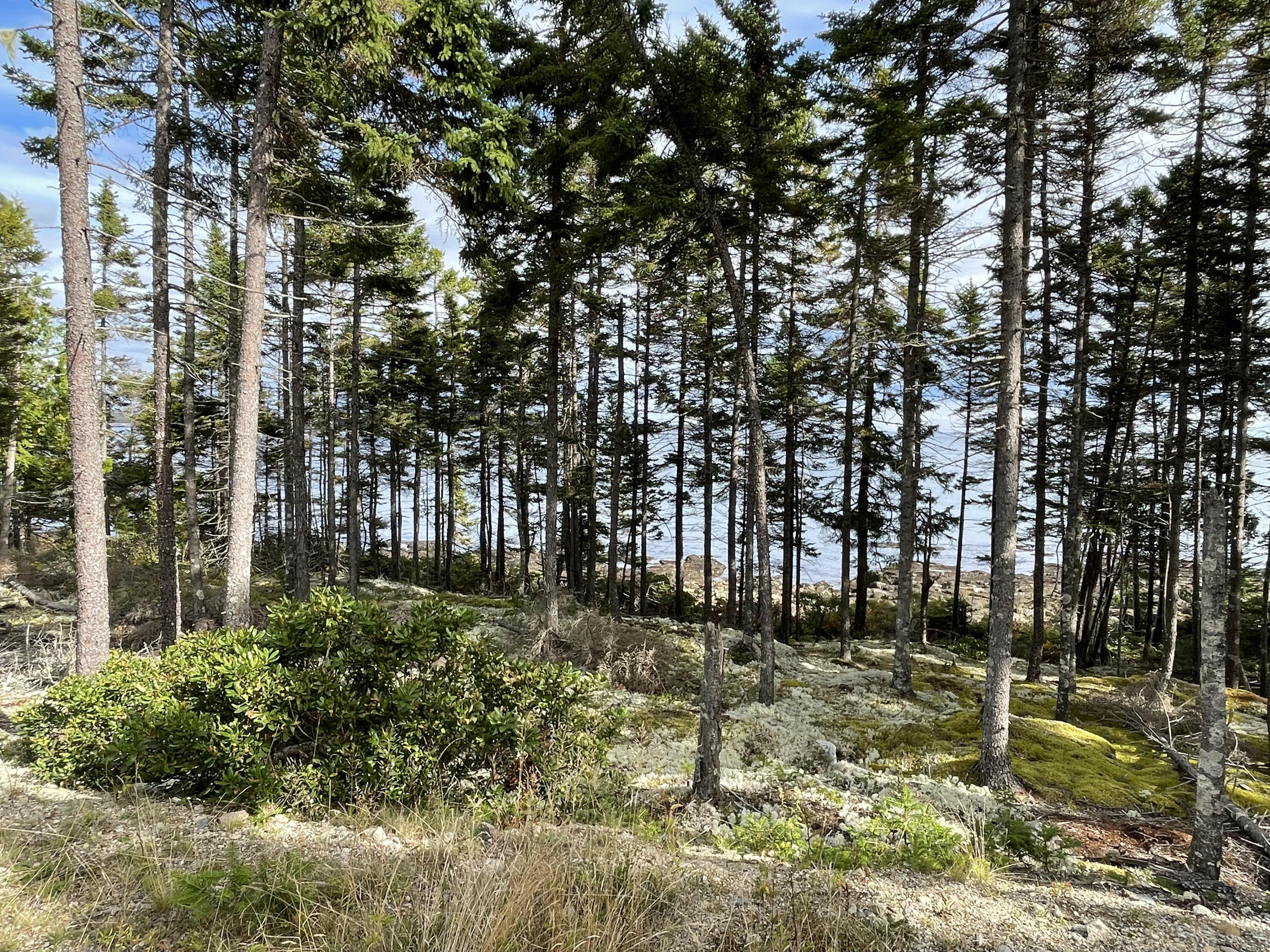 0 Tom Leighton Point Road Milbridge, ME 04658 - Photo 11 of 18 IMG_2134