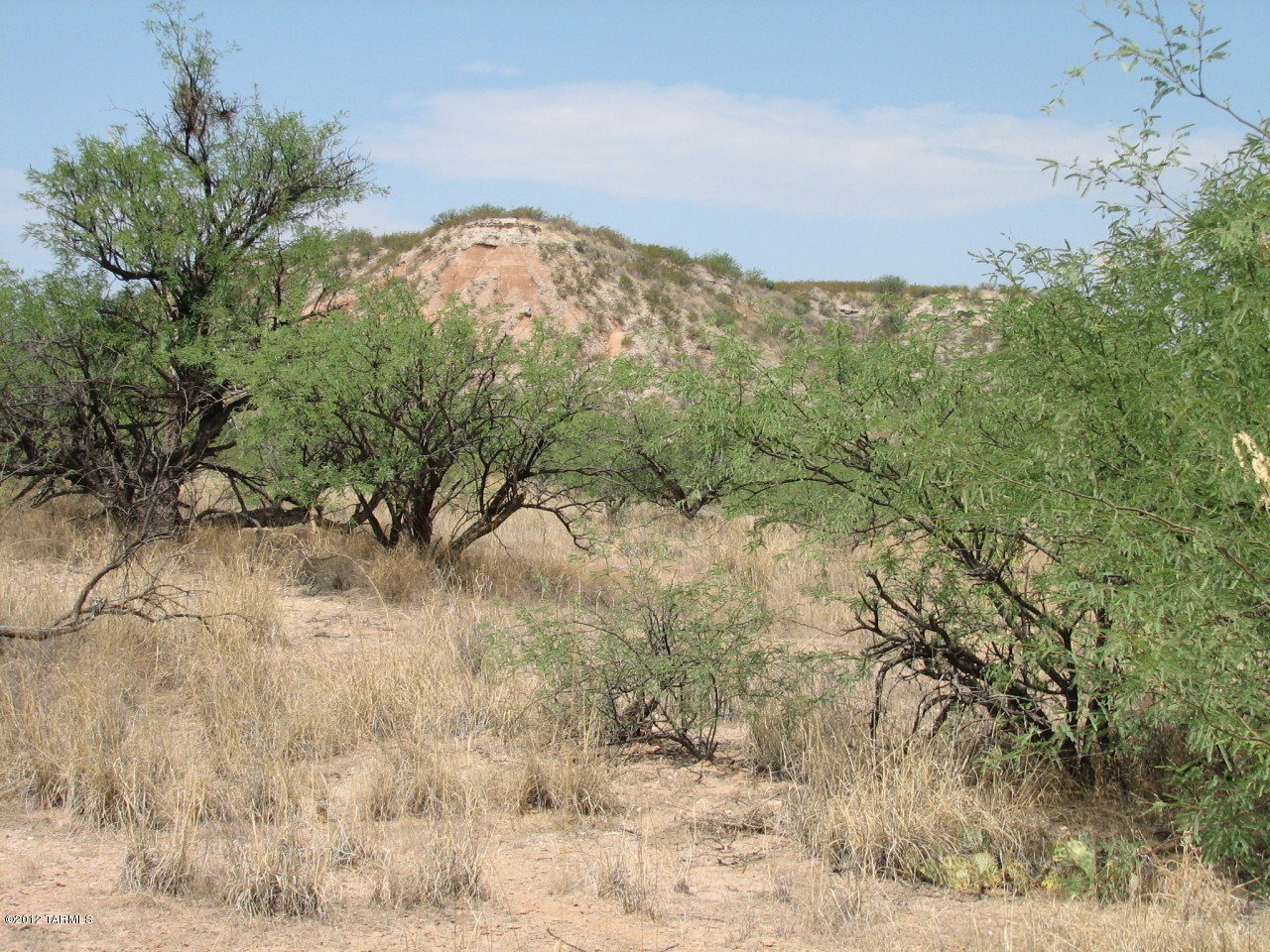 Lake Shelley Road Benson, AZ 85602 - Photo 1 of 3 Gallery Image 1
